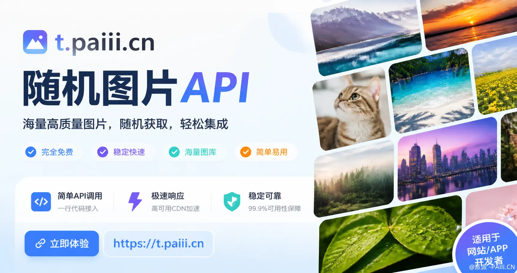 派次元 API 免费随机图片 API 服务，由派立方社区驱动
